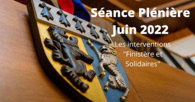 Séance Plénière du 29 Juin 2022