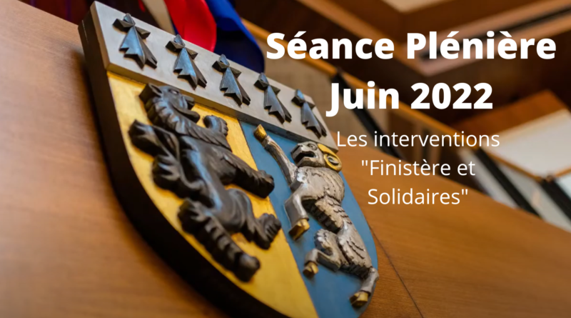 Séance Plénière du 29 Juin 2022